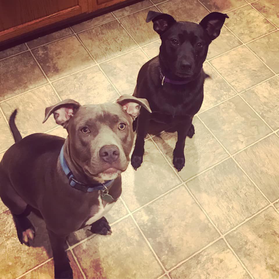 sage and ruby.jpg